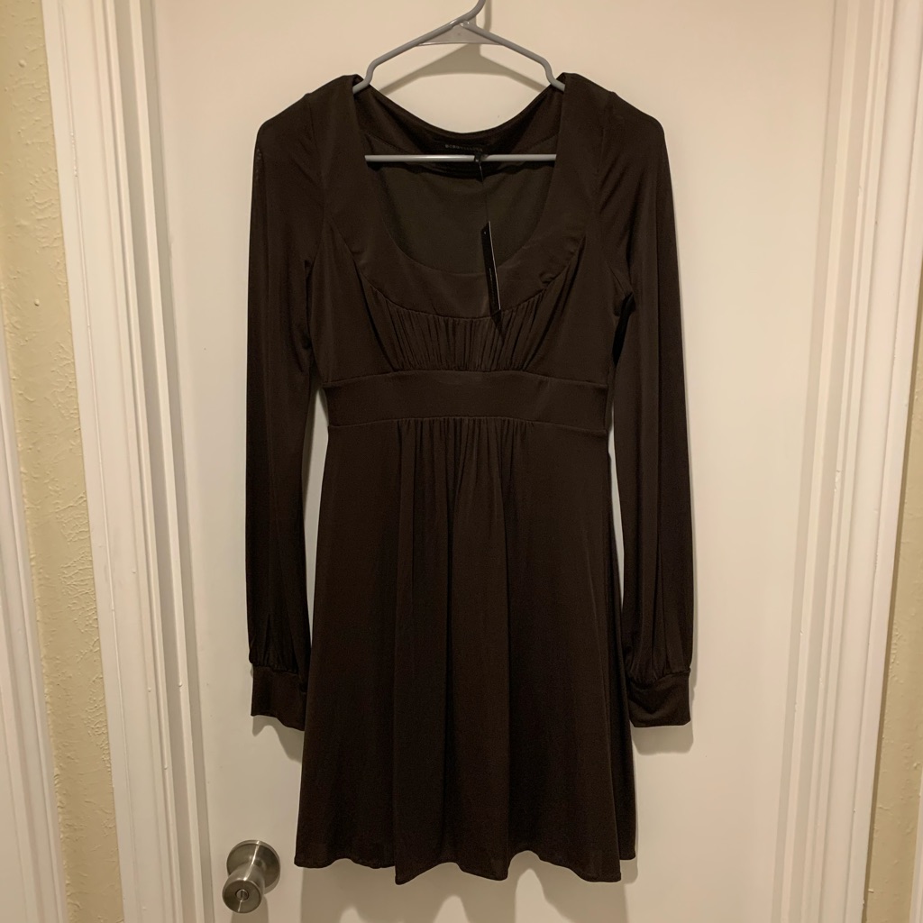 Bcbgmaxazria Brown Long Sleeve Scoop Dress Nwt